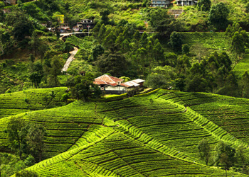 Sri-Lanka